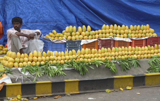 In praise of Indian mangoes – breadtag sagas