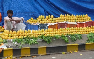 Mango stand near Masab Tank, Hyderabad